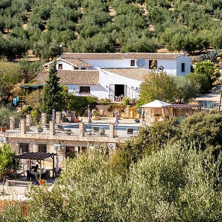 Hacienda La Buena Vida B&B En Appartementen Casita La Bruja Algarinejo Szoba fotó