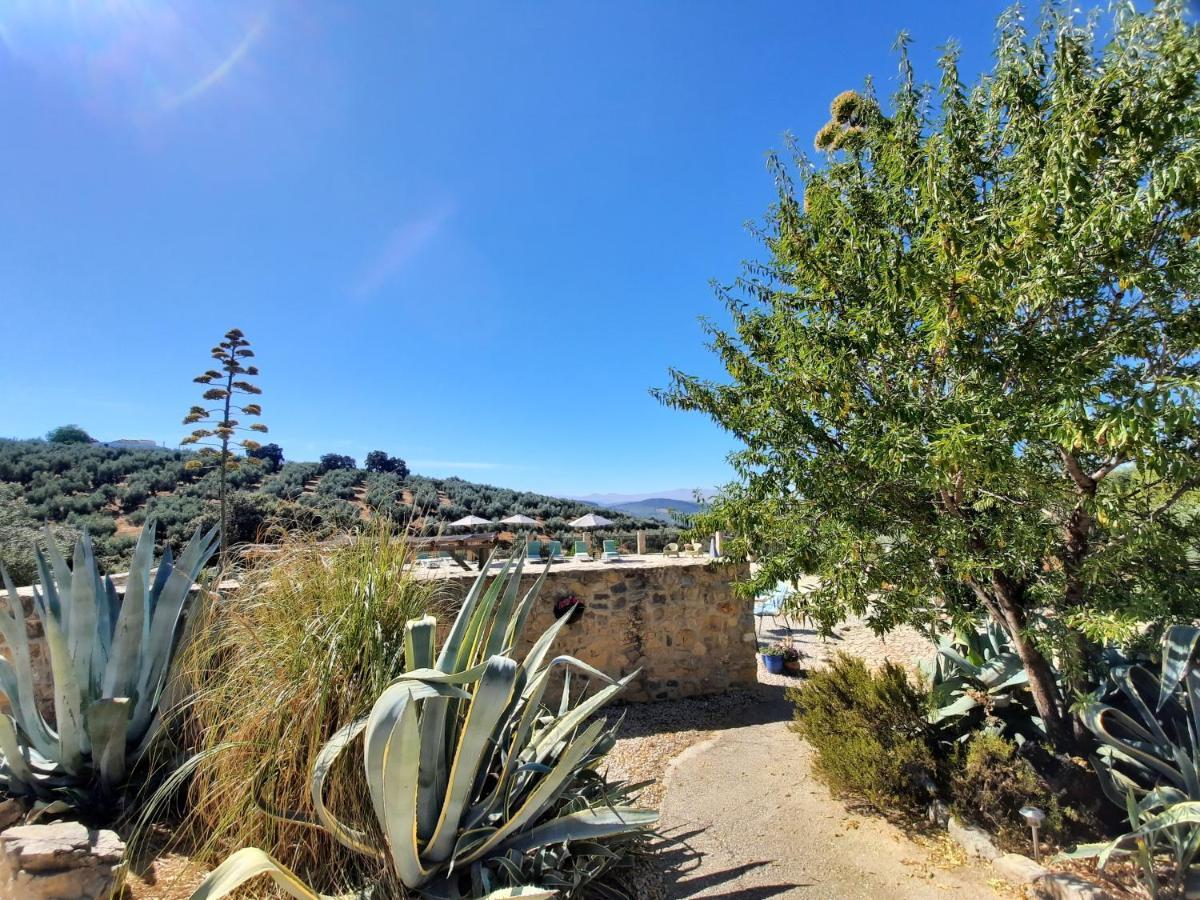 Hacienda La Buena Vida B&B En Appartementen Casita La Bruja Algarinejo Kültér fotó