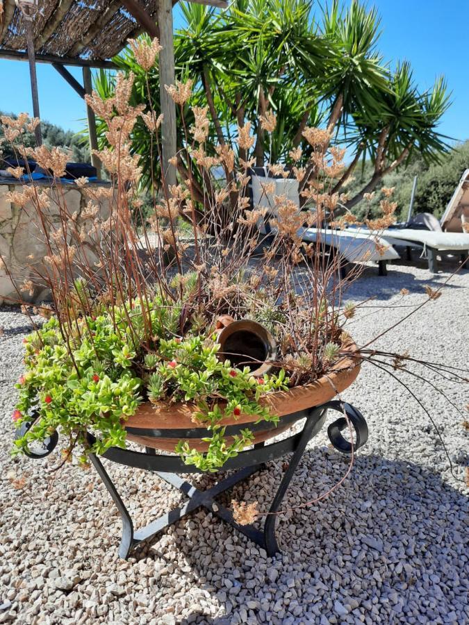 Hacienda La Buena Vida B&B En Appartementen Casita La Bruja Algarinejo Kültér fotó