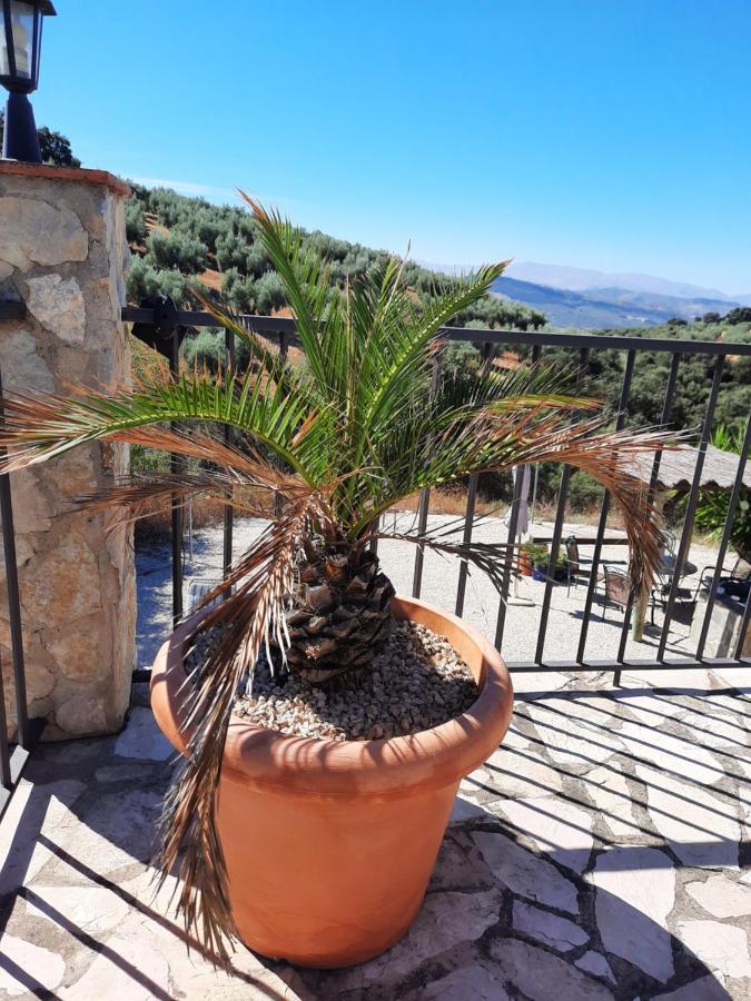 Hacienda La Buena Vida B&B En Appartementen Casita La Bruja Algarinejo Kültér fotó
