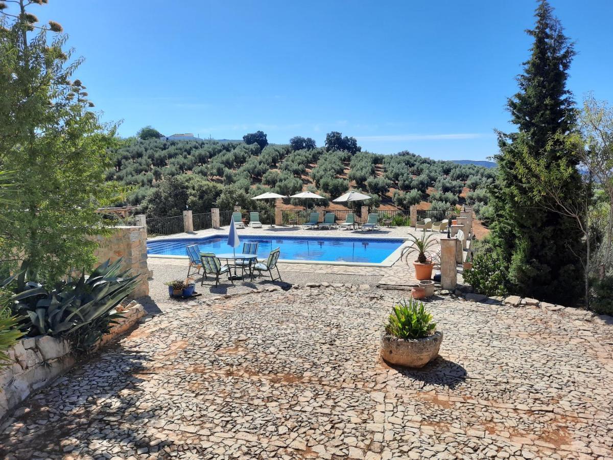 Hacienda La Buena Vida B&B En Appartementen Casita La Bruja Algarinejo Kültér fotó