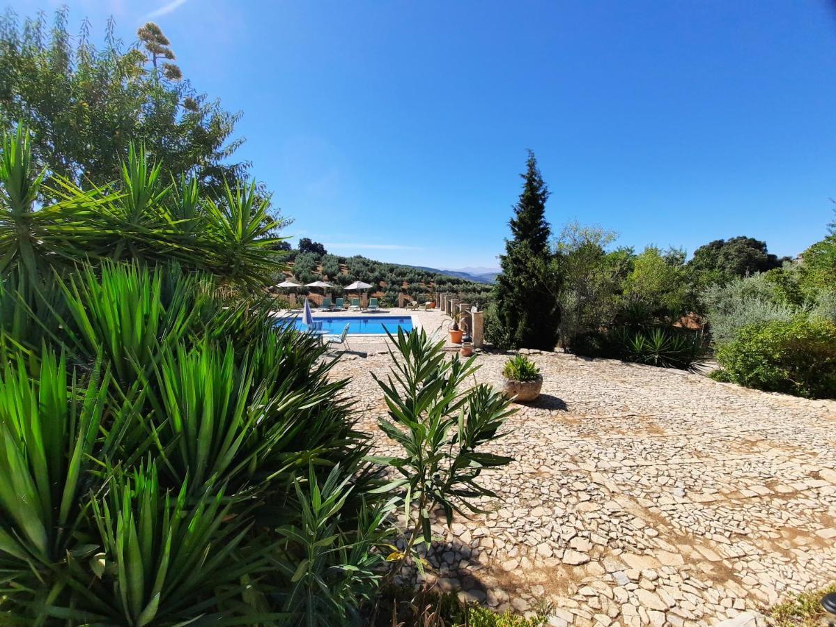 Hacienda La Buena Vida B&B En Appartementen Casita La Bruja Algarinejo Kültér fotó