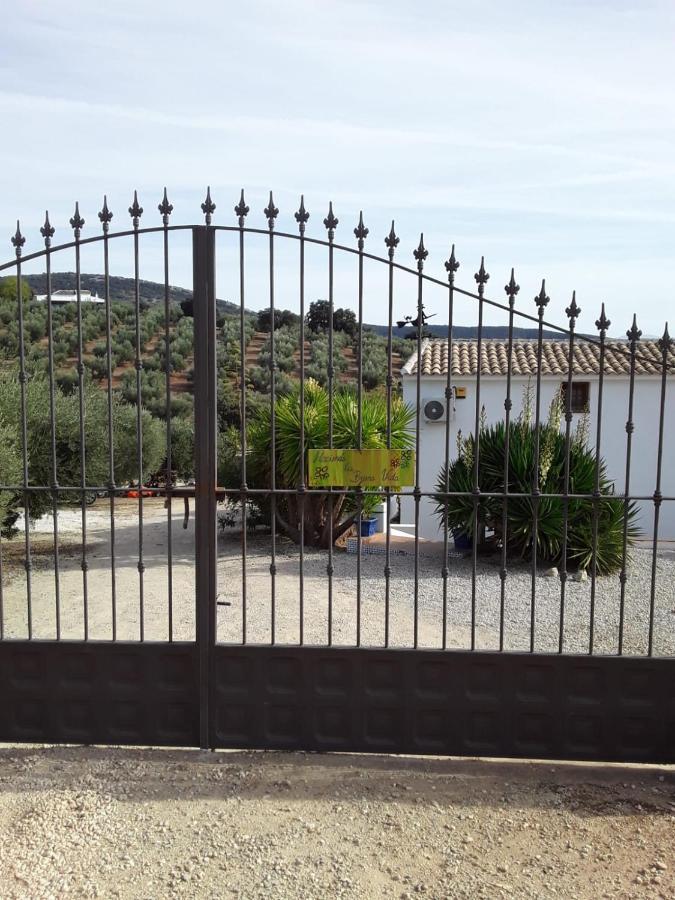 Hacienda La Buena Vida B&B En Appartementen Casita La Bruja Algarinejo Kültér fotó