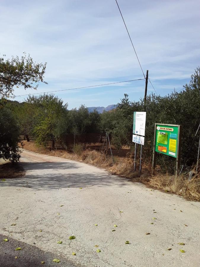 Hacienda La Buena Vida B&B En Appartementen Casita La Bruja Algarinejo Kültér fotó
