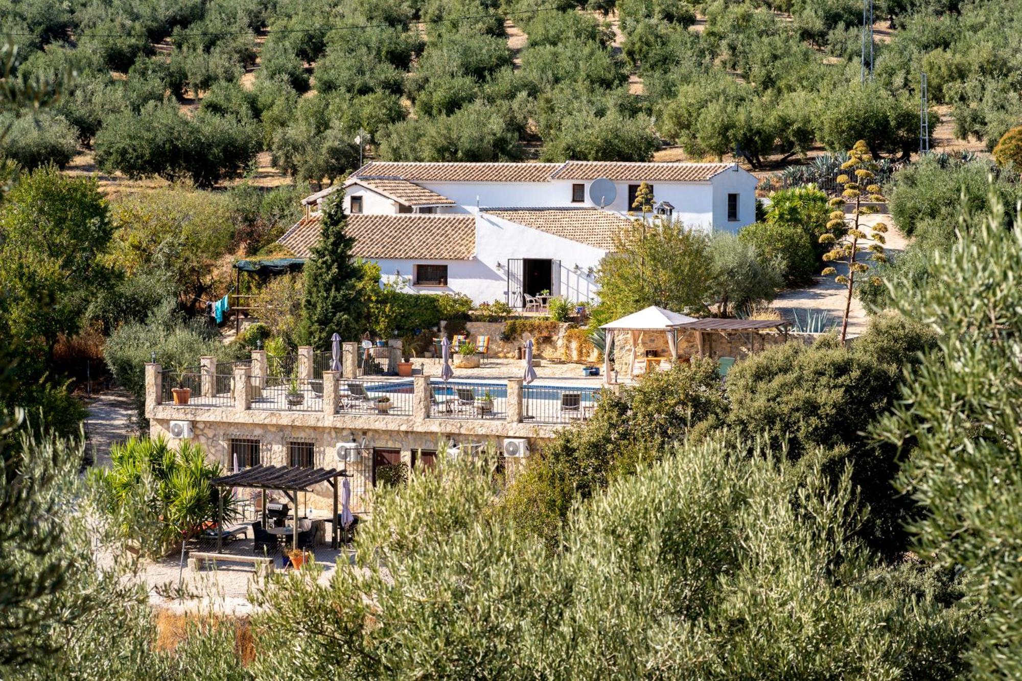 Hacienda La Buena Vida B&B En Appartementen Casita La Bruja Algarinejo Szoba fotó